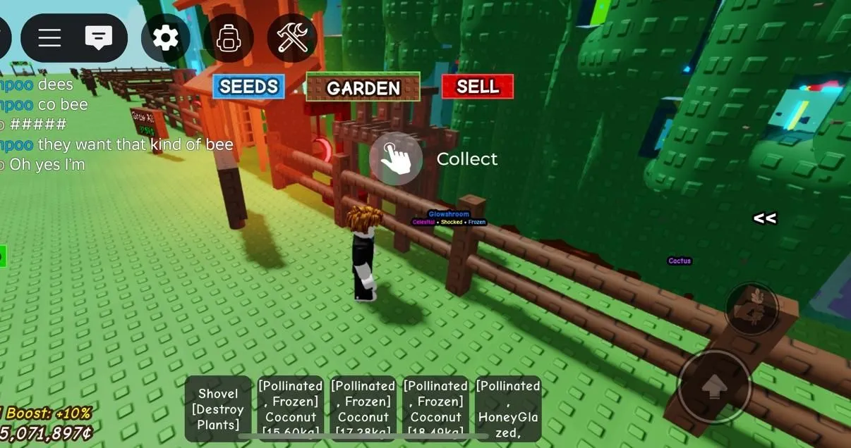 Store Image