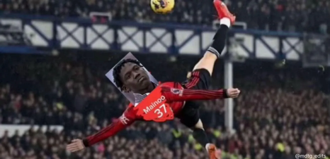 tgwcards header