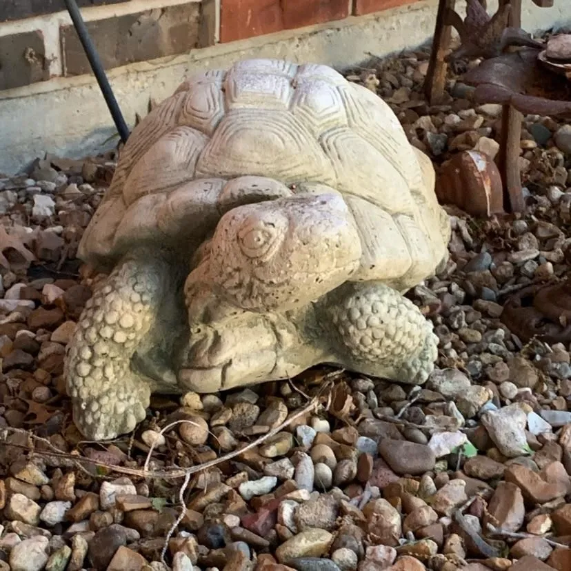 Miniature du live