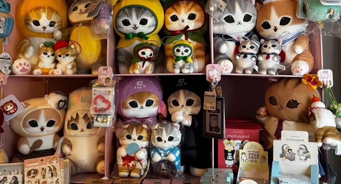 Store Image
