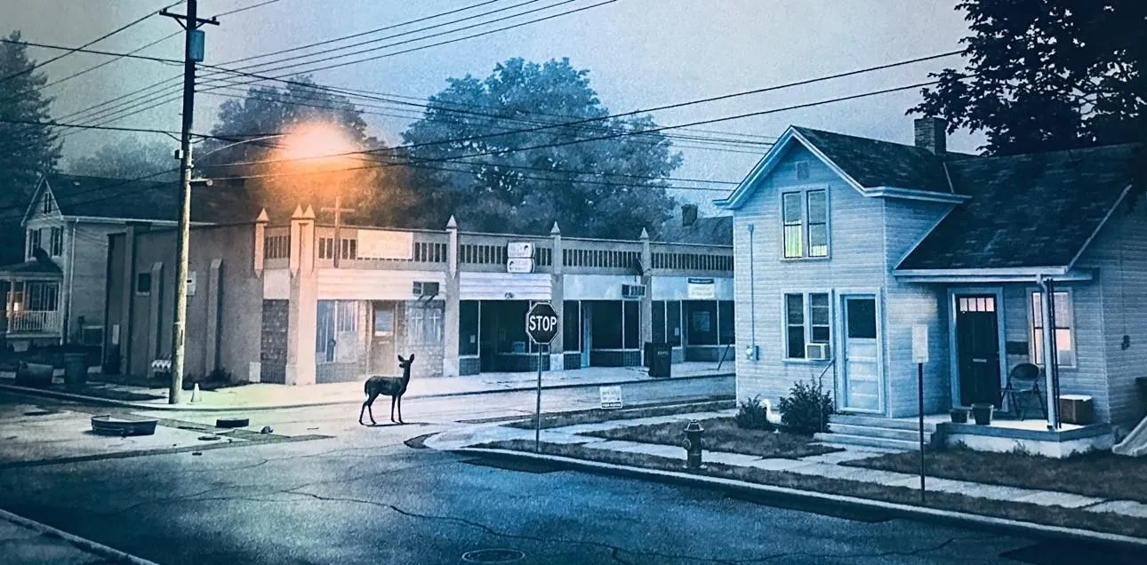 Store Image