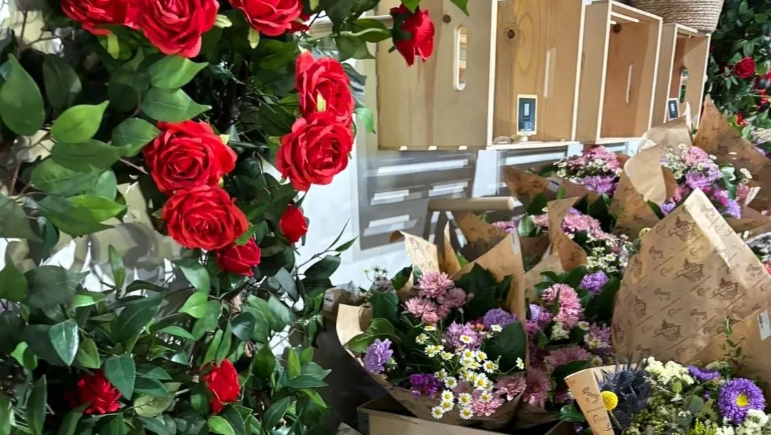 Store Image