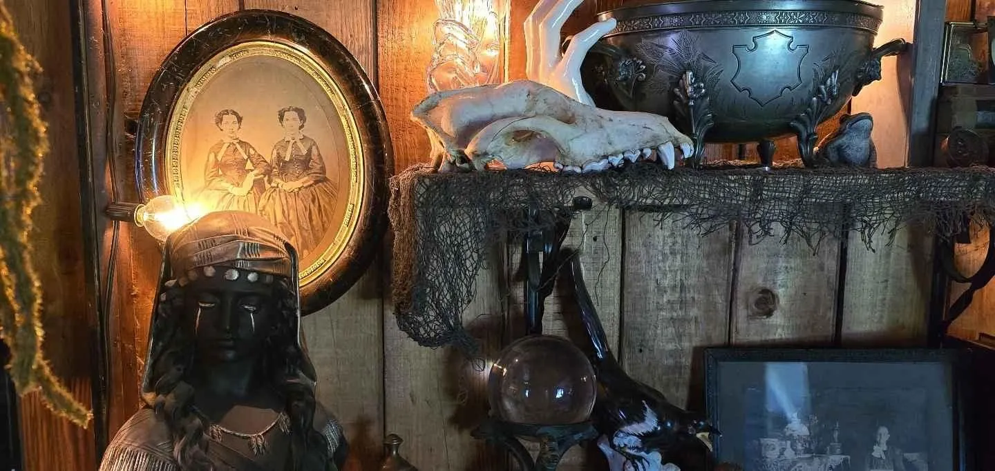 Store Image