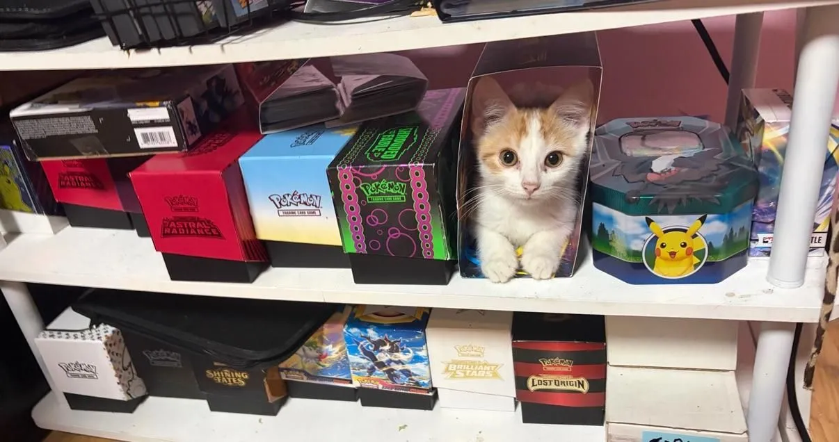 Store Image