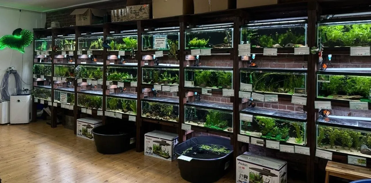 Store Image
