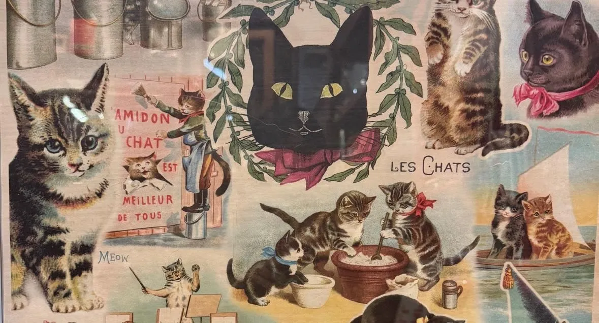 Store Image
