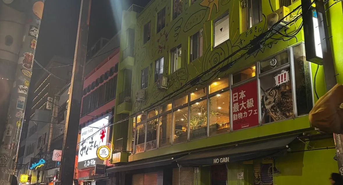 Store Image