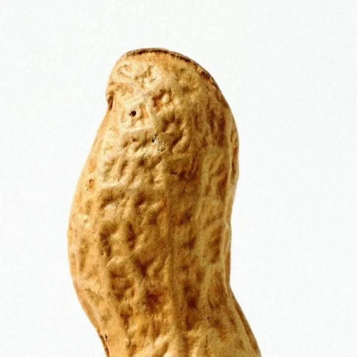 ninapeanut