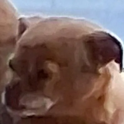 yvvaldezy