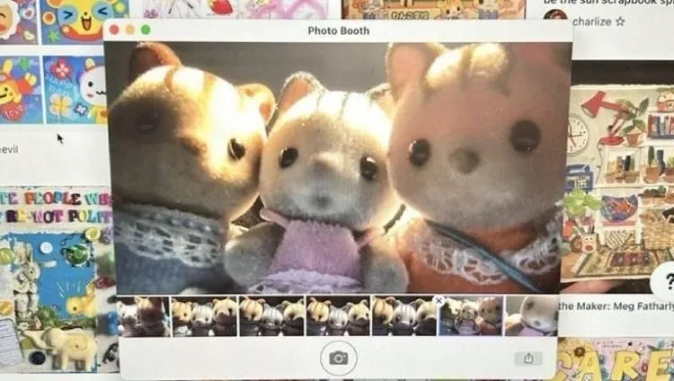 Store Image