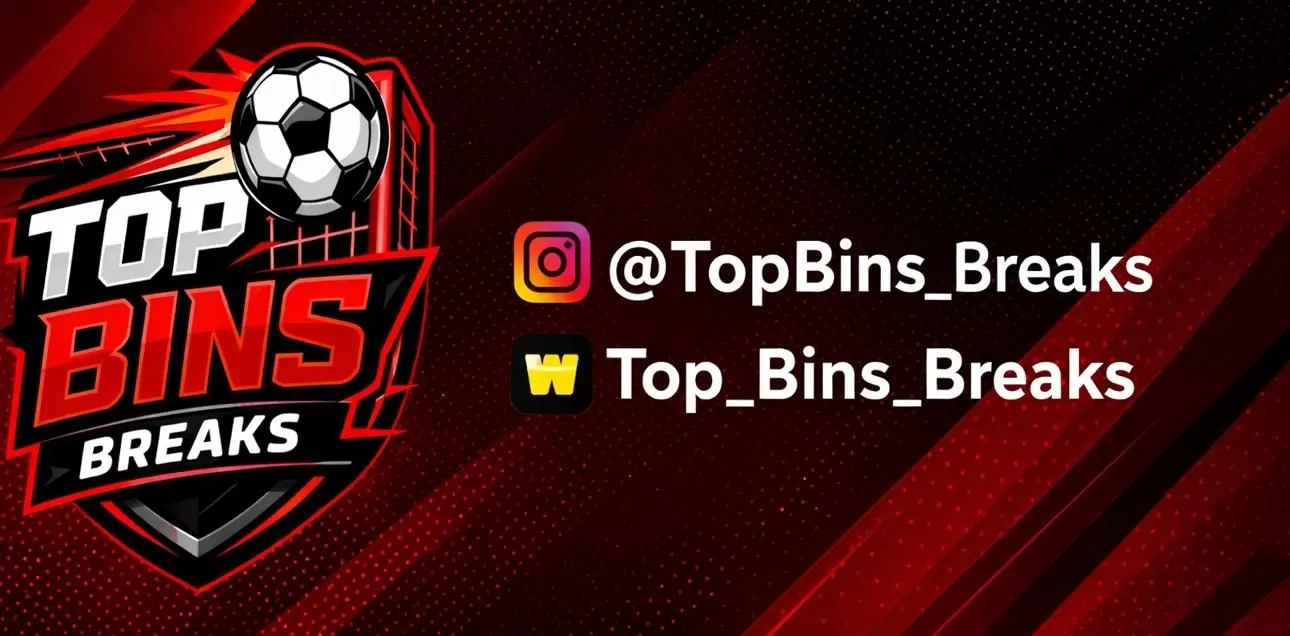 topbinsbreaks header