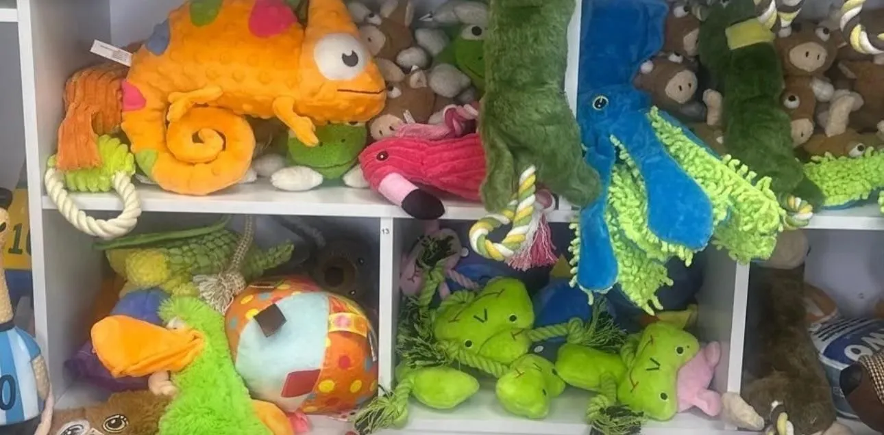 Store Image
