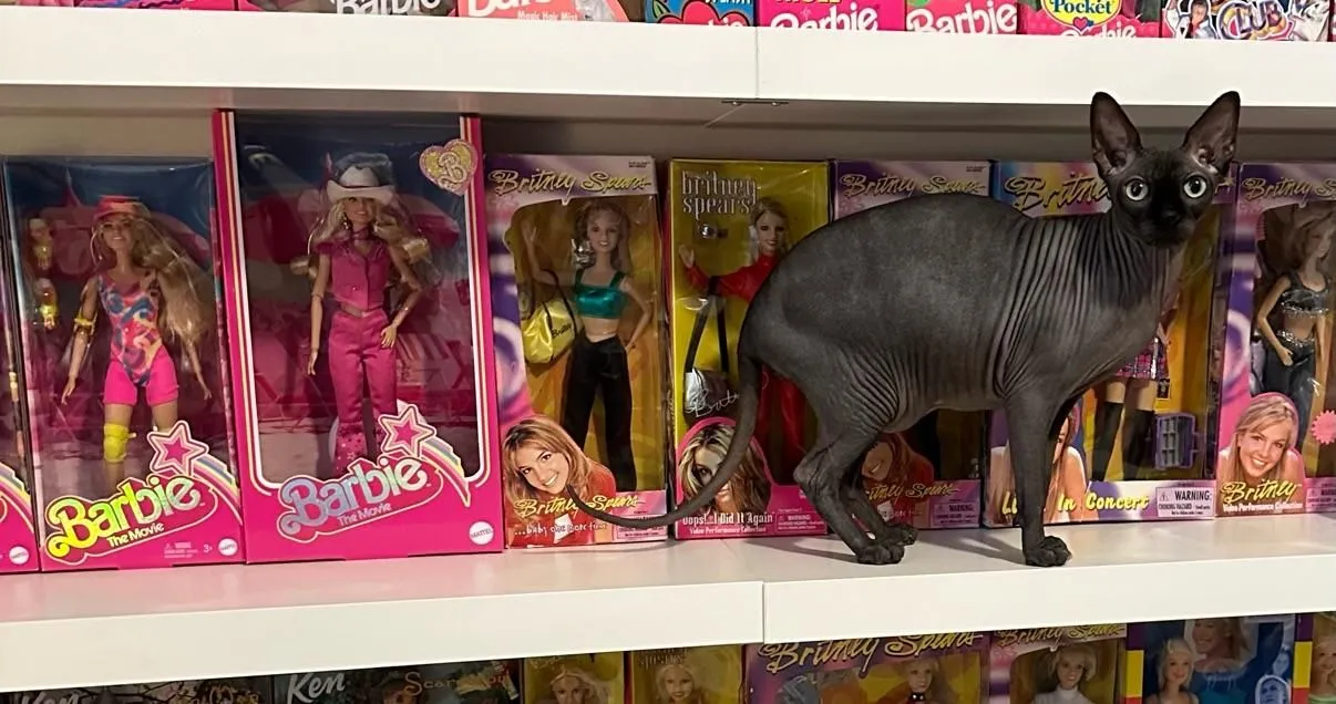 Store Image