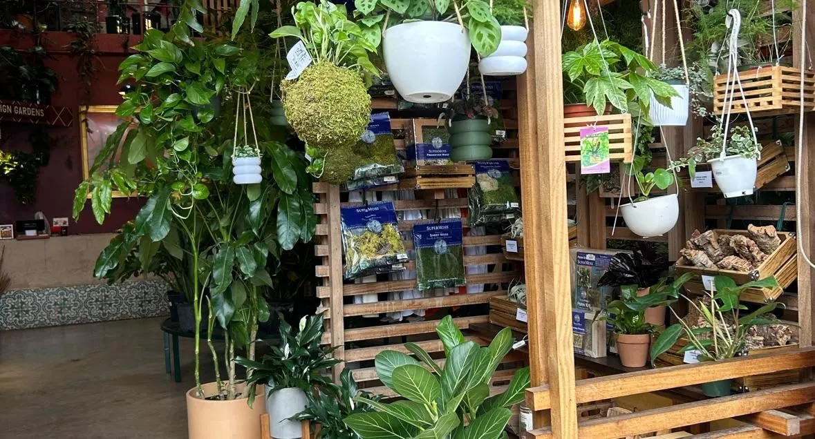 Store Image