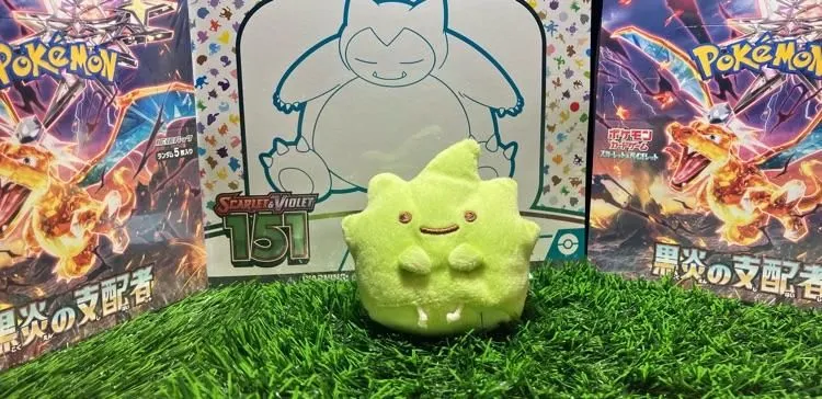 Store Image