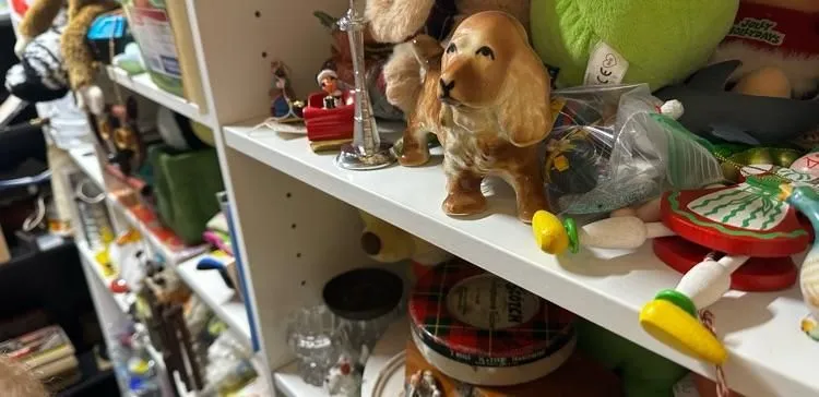 Store Image