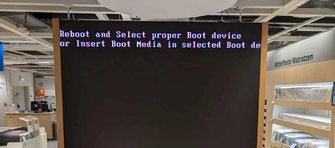 Store Image