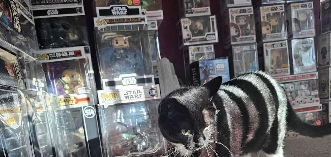 Store Image