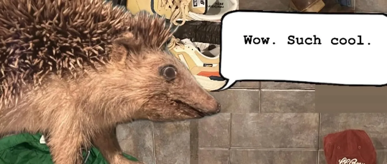 Store Image