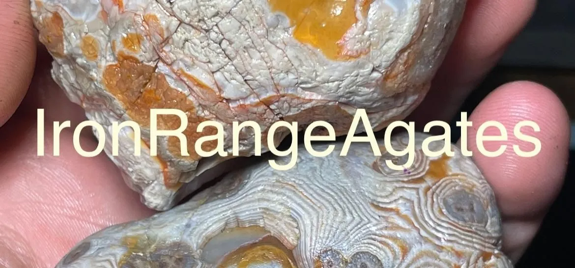 2025 Veefriends Super Stickers - Tolerant Tuna /99 - PSA Magazine