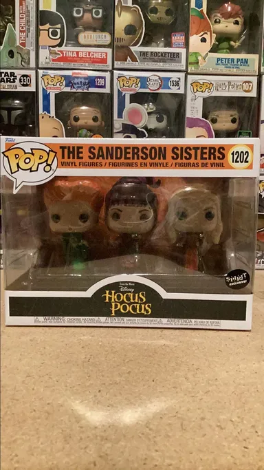The Sanderson Sisters Hocus Pocus
