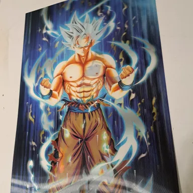Goku Vegeta DragonBall 3d 2 in 1 Holographic Poster