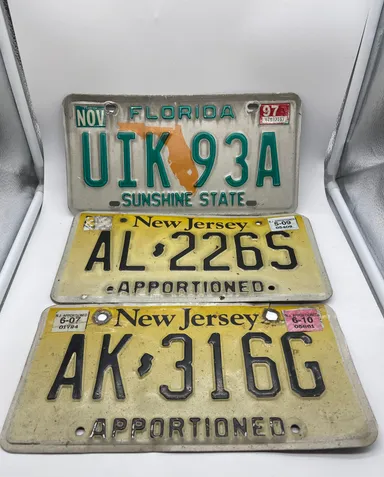License Plate Lot (3)