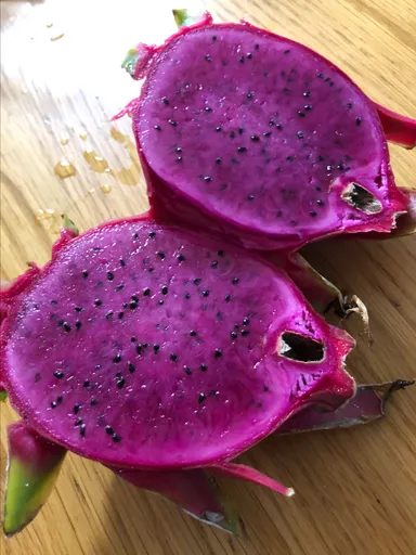 3x Dragon Fruit Cutting Combo Pack, Purple, Pink, White, SPECIAL PRICING!