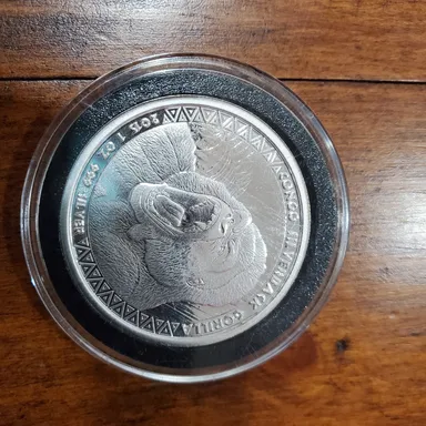 Congo silver back