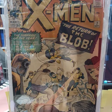 the X-Men 7