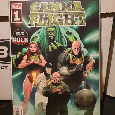 Gamma Flight #1 🔑