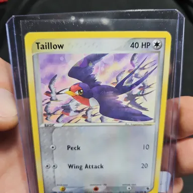 Taillow - Ruby & Saphire - 2003 - Pokémon