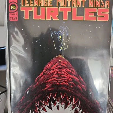 Teenage Mutant Ninja Turtles #145 Eastman Variant