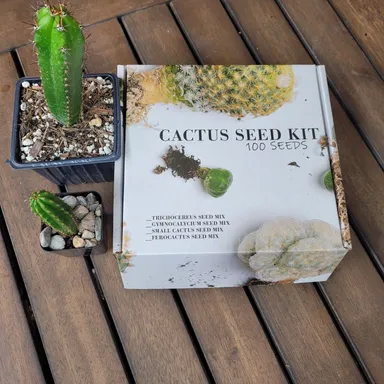 Tricho Cereus Cactus Seed Kit with 100 seeds