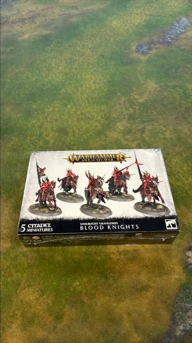 Warhammer AOS-Soulblight Gravelords: blood knights