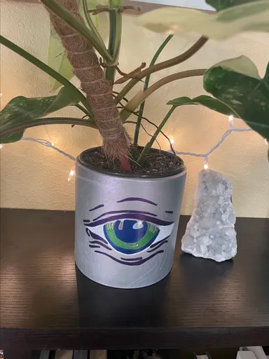 Eye Plant Pot
