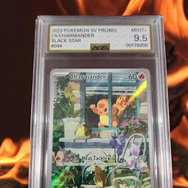 2023 Charmander Promo Graded 9.5