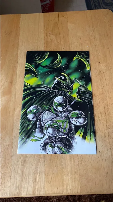 Teenage Mutant Ninja Turtles Black White and Green 1