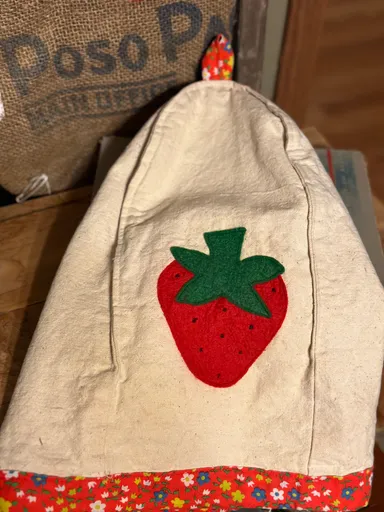 Vintage Strawberry Blender Cover