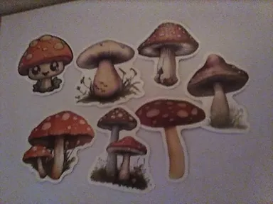 Mushroom Stickers 10 Random Reusable Waterproof