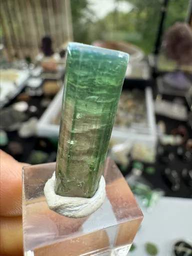 Tourmaline crystal from Brazil