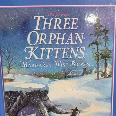 Three Orphans Kittens
