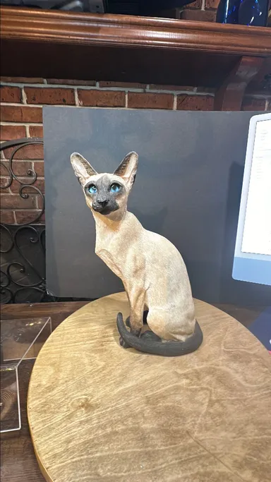 213 county artists  Siamese cat