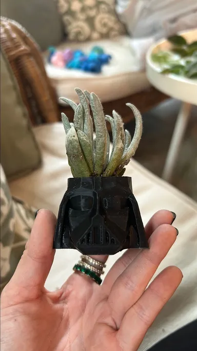 Medium darth Vader with succulent