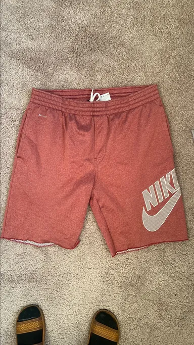 Nike SB Shorts
