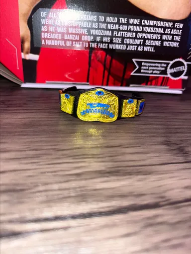 Smackdown RA tag team championship belt