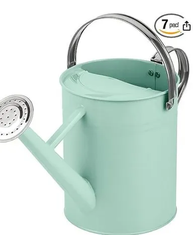 93. Homarden 1 Gallon Copper Decorative Watering Can