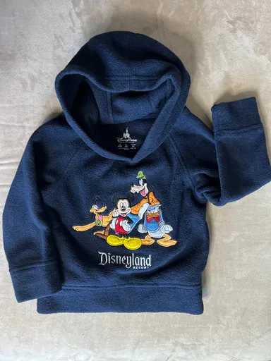 Disneyland resort Mickey & friends fleece hoodie