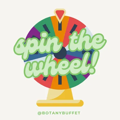 Spin the Wheel - GUARANTEED WIN