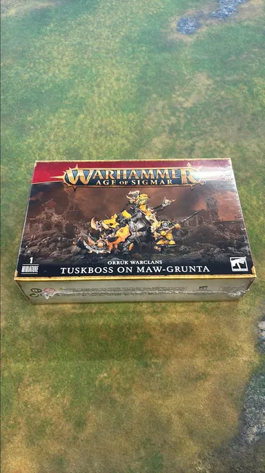 Warhammer AOS-Orruk Warclans: Tuskboss on Maw-Grunta